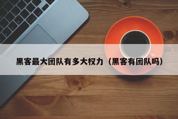 黑客最大团队有多大权力（黑客有团队吗）