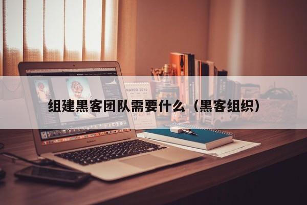 组建黑客团队需要什么（黑客组织）