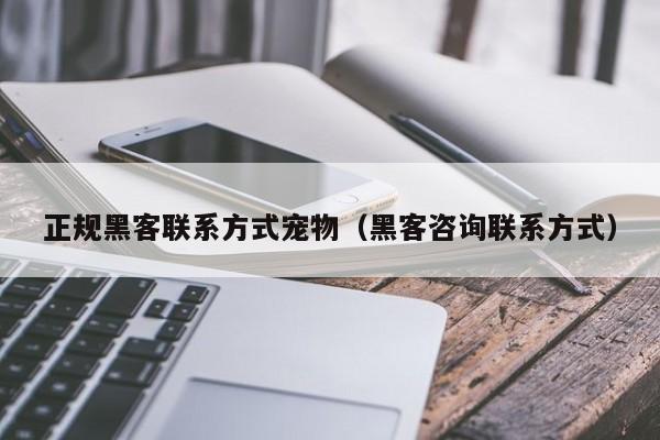 正规黑客联系方式宠物（黑客咨询联系方式）