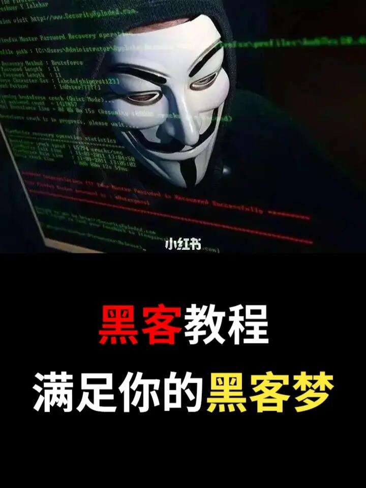 黑客qq业务软件手机版(黑客)