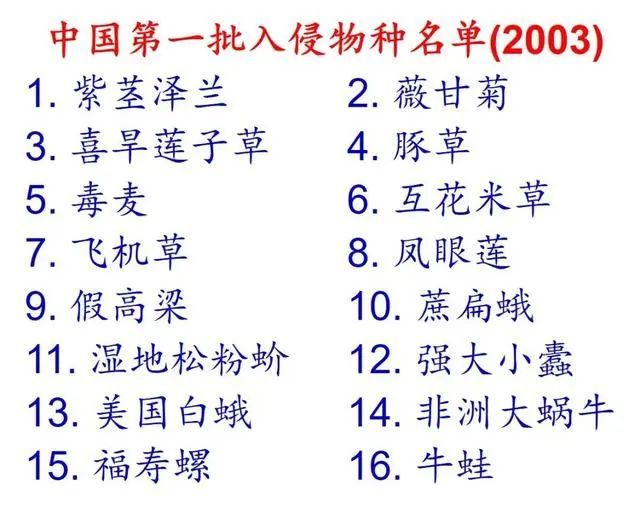 外来入侵植物网站(外来入侵植物物种)