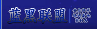 中国黑客业务小组名单(中国黑客团队)
