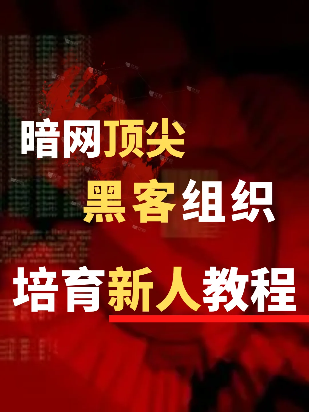 黑客怎么联系(黑客怎么联系鞠婧祎)