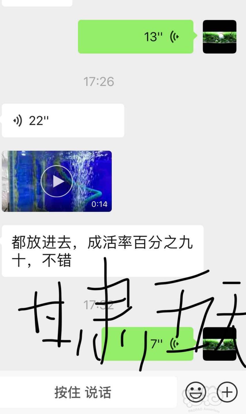 新疆黑客团队排名表格(黑客人员名单)