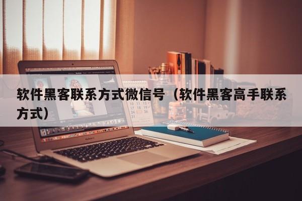 软件黑客联系方式微信号（软件黑客高手联系方式）