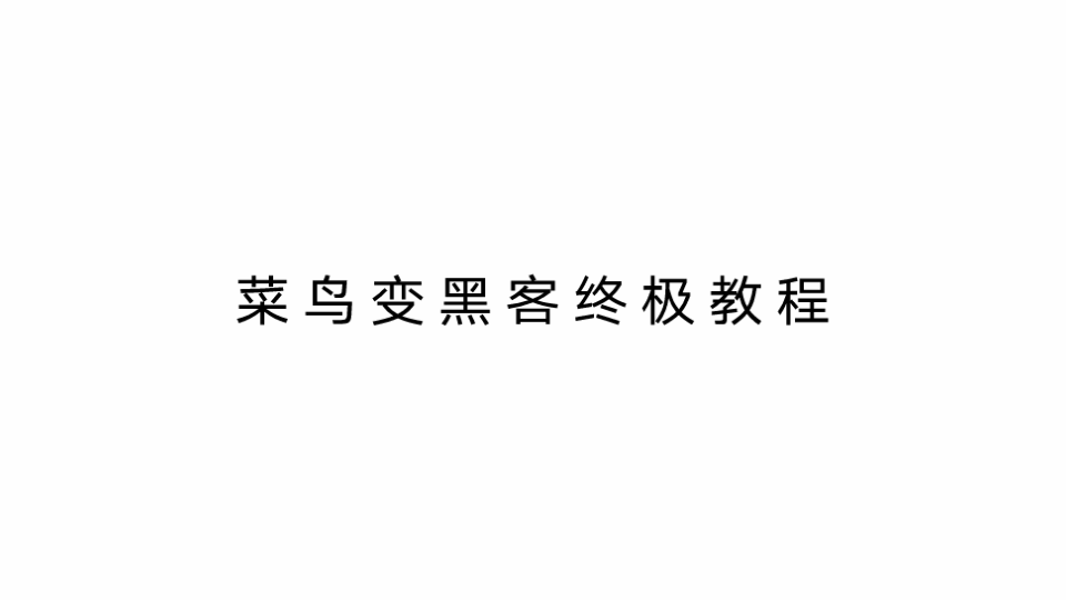 美国黑客菜鸟团队成员名字(美国黑客菜鸟团队成员名字叫什么)